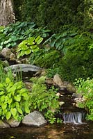 Grey wooden footbridge over man-made creek with cascading waterfall bordered by Hosta and Pteridophyta in backyard garden in summer, Quebec, Canada