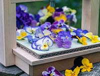 Perennial violas make lovely pressed flowers.