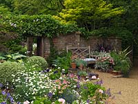 Front garden with pots of geranium, lobelia, Surfinia petunias, Scaevola aemula, box, busy lizzies 'Fiesta Appleblossom', 'Fiesta Pink Ruffle', marguerite, lobelia, hosta, phormium, echeveria.