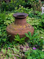 Old terracotta pot set in bed of hardy geranium, hellebore, fern and leafy epimedium.