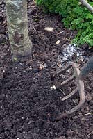 Caring for fruit trees sequence. Mulch with an 8cm depth of well rotted compost
