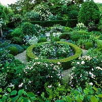 Formal front garden. Box circle of Rosa Kent and pink Rosa Penelope. In gravel, mounds of box or lavender, clumps of alchemilla, campanula, sage, phlomis and hardy geranium.