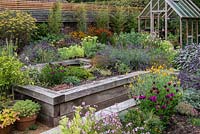 Raised beds of herbs and flowers with greenhouse behind. Bamboos and border of late summer flowering perennials such as helenium, fennel, Verbena bonariensis and salvia against the horizontal fence.