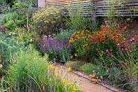 A path through a double border against a slatted fence containing late summer flowering perennials including cardoon,  salvia, daylily, sedum, fennel, helenium, Verbena bonariensis, phlomis and drumstick allium.