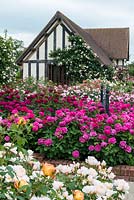 The entrance to David Austin Roses, lavishly planted with some of the many beautiful roses bred since 1961.