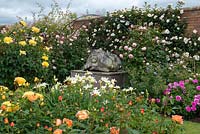 David Austin Roses. The Lion Garden where shrub roses and perennials are overshadowed by standards, on left, yellow standard Rosa Molineux. Looking over orange Lady of Shalott, to lion statue. Behind on wall, Shropshire Lass. To right and left, climbing Shropshire Lad.