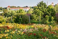 Hemerocallis borders looking to the Weihenstephan hill with lecture hall and the brewery tower