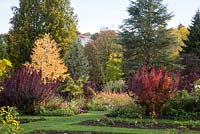 Autumn colour at Weihenstephan Trial Garden with Cotinus cogyggria 'Royal Purple', Cercidiphyllum japonica, Cedrus libanotica, Euphorbia palustris and Miscanthus sinensis