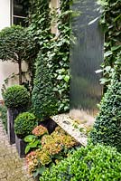 Waterwall amongst Hydrangea macrophylla and clipped evergreen Buxus sempervirens and Taxus baccata balls