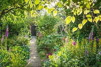 View along path to gate in Cottage garden in summer. Foxgloves, Lysimachia punctata, sweet williams, roses and ferns