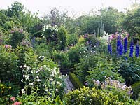 Box parterre with herbaceous borders including delphinium, hardy geranium and nicotiana.