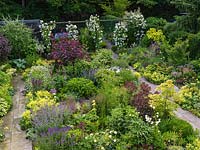 Overview of tiny garden. Paths pass 250  perennials packed into beds. Key plants: Rosa Guirlande d'Amour on pergola, Cotinus coggygria, Acer palmatum, Catalpa bignoides.