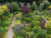 Overview of tiny garden. Paths pass 250  perennials packed into beds. Key plants: Rosa Guirlande d'Amour on pergola, Cotinus coggygria, Acer palmatum, weeping pear.