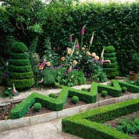 Box hedge zig-zag and balls forms structure on bank to stop earth washing down. Behind, bed of foxgloves, hardy geranium and Rosa 'Just Joey' flanked by broad box spirals.
