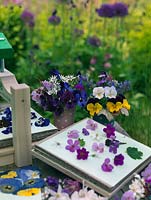 Flower press and cut flower heads on garden table 