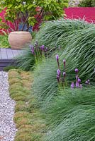 Ornamental grass border planted with Miscanthus sinensis, Pennisetum alopecuroides and Liatris spicata