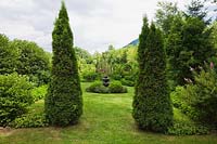 Manicured green grass lawn with water fountain framed by trimmed Thuja occidentalis 'Smaragd' - Cedar trees in private backyard garden in summer