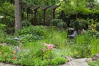 Brown painted wooden pergola and pond with Typha latifolia - Common Cattails and Nymphaea - Water Lilies bordered by red and pink Lilium, Hosta plants and  yellow Ligularia 'The Rocket' flowers in residential backyard garden in summer