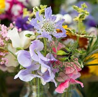 Cut flowers including scabious, sweet pea and seedhead of love-in-the-mist.