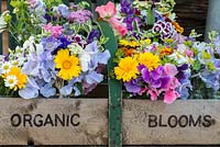 Easily grown annuals, tied into pretty posies, and stacked in a large old wooden box.