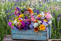 Box of freshly cut flowers, arranged in posies, to include marigold, cosmos, larkspur, ammi, sweet peas, clary sage, scabious, sweet William, achillea, nicotiana, cornflower, godetia, feverfew, zinnia and statice.