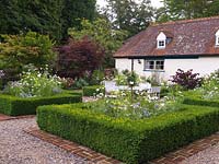 Walled cottage garden with parterre of 4 square beds filled with roses, Cosmos Sonata White, mauve verbena, anthemis, Nicotiana Lime Green, Senecio viravira.