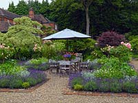 Walled garden with parterre of four square beds, each filled with a pink standard rose, cosmos, argyranthemum and verbena, and edged in Lavandula Hidcote. Trees - Cornus controversa and Acer japonicum.