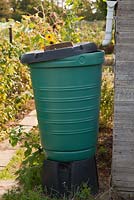 Allotments - a water butt for collecting rainwater 