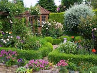 Box parterre and pergola with roses and clematis. On obelisks in beds - roses Octavia Hill, Penelope and Bonica. Weeping pear.  Sundial in centre of pebble paths.