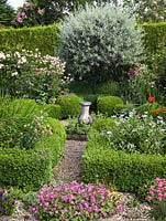 Parterre. Central sundial. Pebble paths separate 4 box-hedged beds of roses, aquilegia, poppy, centaurea, alchemilla, hardy geranium. Left - Rosa Penelope. Weeping pear by hedge.