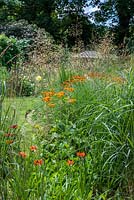 A hot herbaceous border planted with Helenium, Monarda, Crocosmia and Dahlia along with Stipa, Calamagrostis and Molinia grasses.