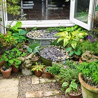 Improvised steps from patio to house are made from two old galvanised washing tubs filled with slate and pebbles, edged in pots of hostas and acers. 