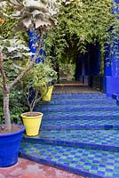 Shallow, tiled steps leading up to pergola at Jardin Majorelle, Yves Saint Laurent garden.