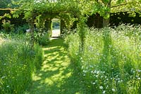 Mown grass path through the meadow full of cow parsley, buttercups, bluebells and camassias. King John's Nursery, Etchingham, East Sussex, UK