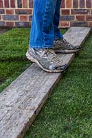 Lawn Restoration. To ensure firm contact between the soil and underside of each turf, press down by laying a scaffold board over the surface, and walking along evenly.