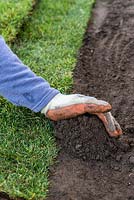 Lawn Restoration. When laying in warm weather, there is a risk that the bare edges will dry, curl up and die. To prevent this, pile up top soil to cover the edges. Once the turf has taken, a new clean edge can be cut with a turf cutter.