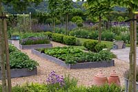 A vegetable garden with raised beds containing potatoes, carrots, peas, chives and lettuce varieties. 