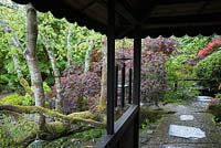 View of garden from inside the Tea House. The Japanese Garden and Bonsai Nursery, St.Mawgan, nr Newquay, Cornwall