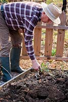 Early spring preparation of vegetable beds. Clearing weeds from vegetable garden