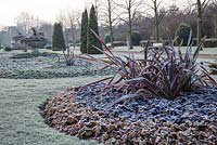 Phormium tenax and Heuchera in frosted formal beds - Regent's Park, London