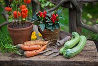Chinese lanterns, fern, Courgettes and Capsicum on rustic table
