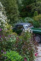 The view up Quarry cottage hillside garden past an MG to a seating area at the top. Planting in the foreground includes Lunaria annua, Clematis 'montana' and tulips.
