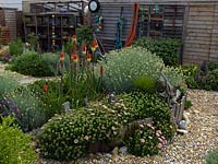 Raised bed made from driftwood, and planted with Helichrysum italicum, Erigeron glaucus, Kniphofia 'Atlanta' and hebe.