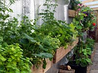 Covered side passage is planted with window boxes of herbs, strawberries and flowers. 