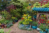 Gravel path leads between pots of tulips and self seeded forget-me-nots, euphorbia, maple, heuchera, pansy, hosta and erysimum. Artist owner has built an oriental raku-tiled mirrored wall.