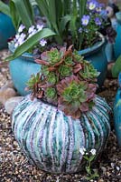 Glazed pot created by ceramicist Susan Bennet, planted with succulents.