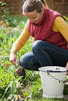 Woman adding compost to flowerbed.