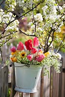Bucket of tulips and cow parsley hanging on a fence.