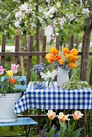 Spring display in apple orchard. Tulips, daffodils, muscari and forget-me-nots.