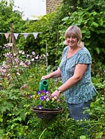 Julia Humphries watering violas in her garden The Crest, a suburban garden with cottage garden planting on a 23 metre square plot.